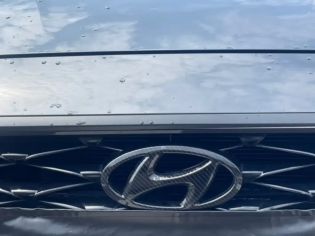Hyundai Fista — фото 2