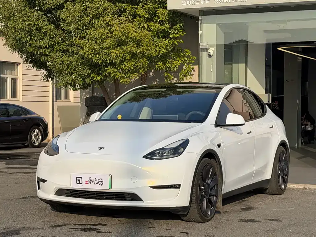 Tesla Model Y 2022 из CN, фото 6