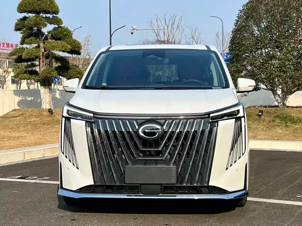 GAC Motor Trumpchi M8 2023 из CN, фото 8