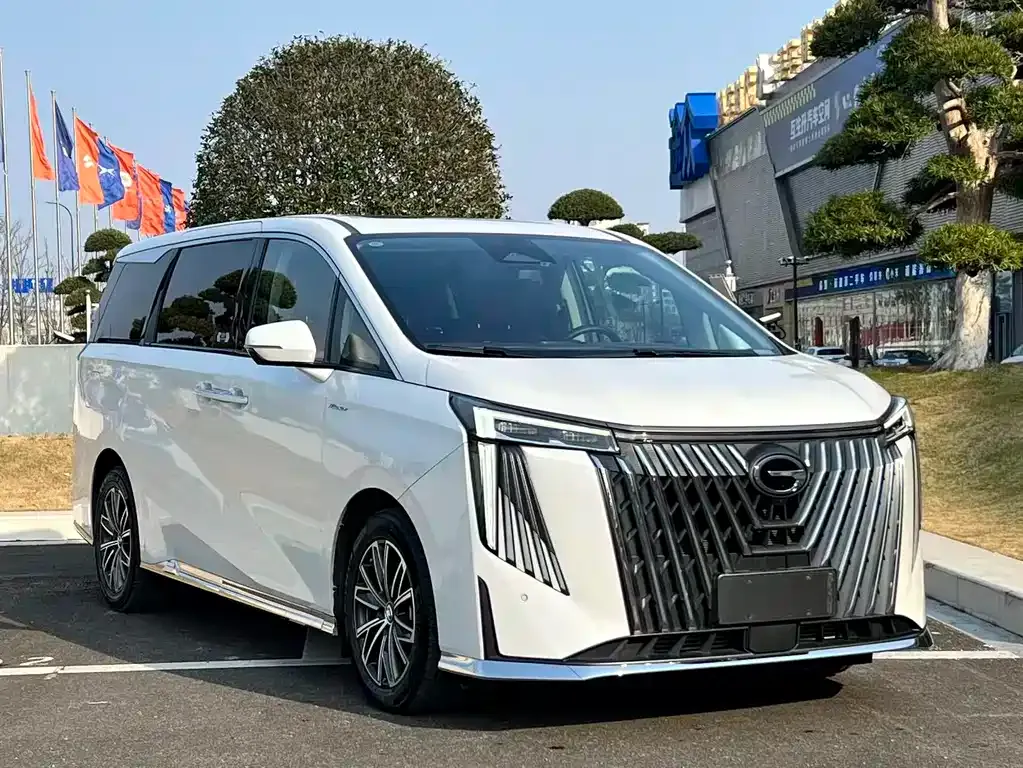 GAC Motor Trumpchi M8 2023 из CN, фото 5