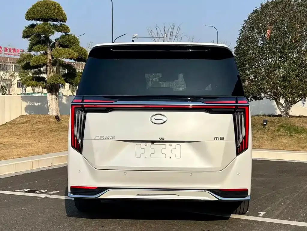 GAC Motor Trumpchi M8 2023 из CN, фото 3