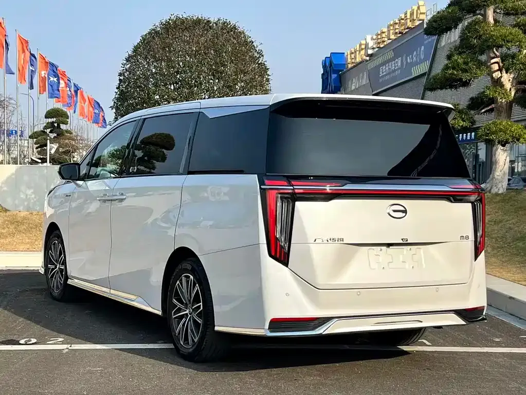 GAC Motor Trumpchi M8 2023 из CN, фото 4