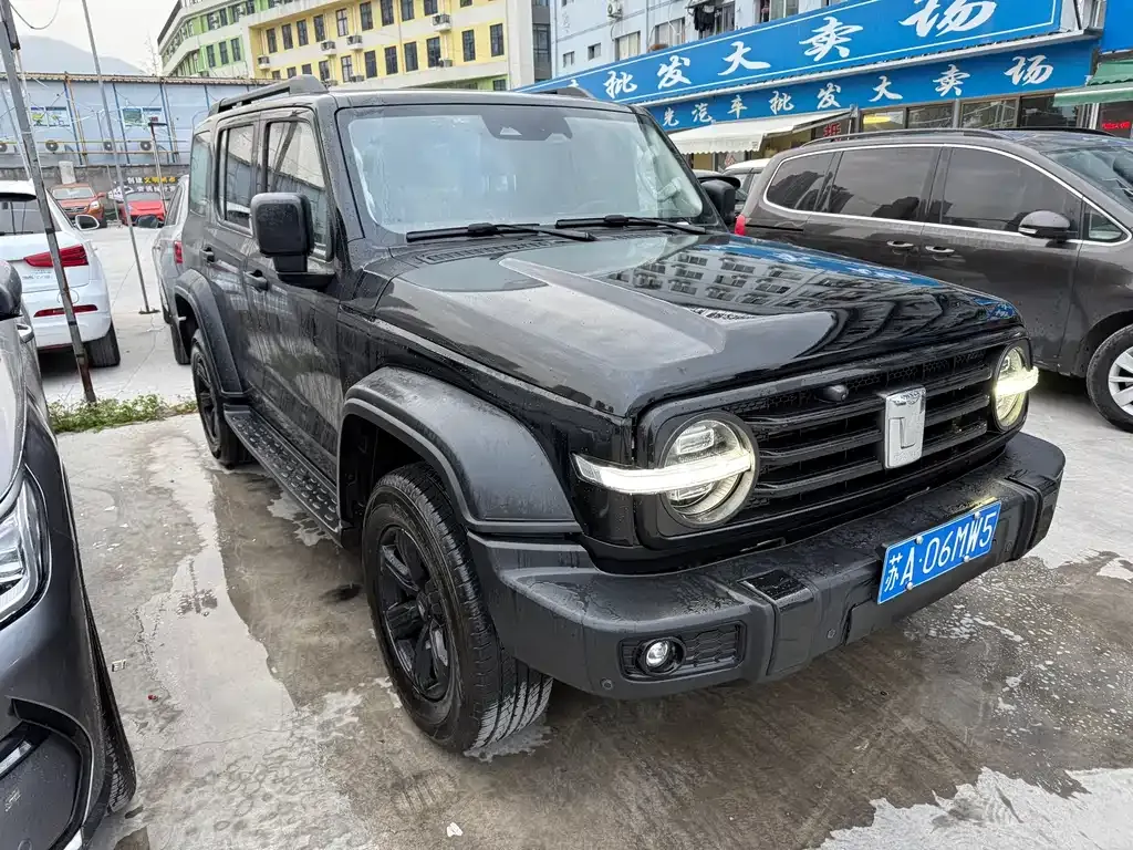 Tank 300 2023 из CN, фото 2