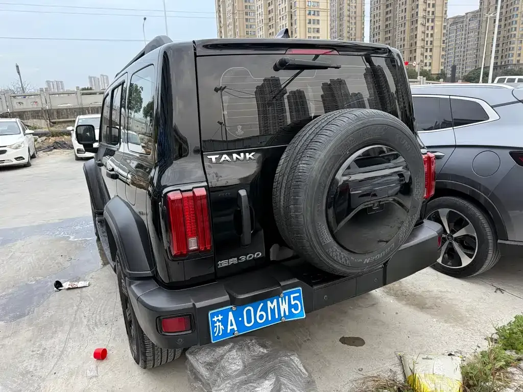 Tank 300 2023 из CN, фото 9