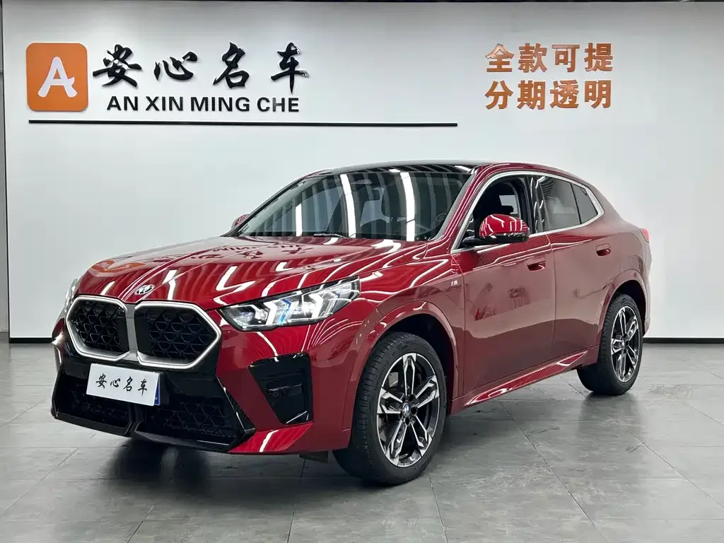 BMW X2 (Import) — фото 1