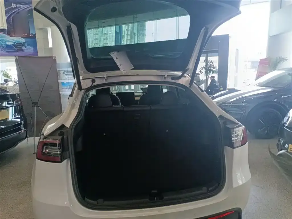 Tesla Model Y — фото 2