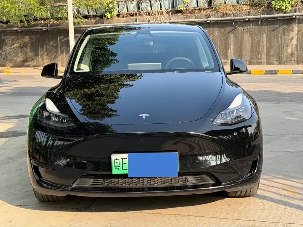 Tesla Model Y — фото 9
