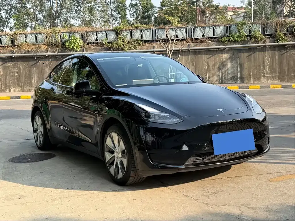 Tesla Model Y — фото 6