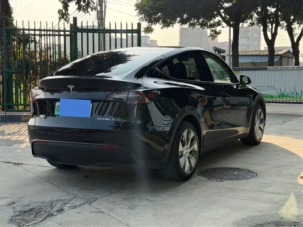 Tesla Model Y — фото 3