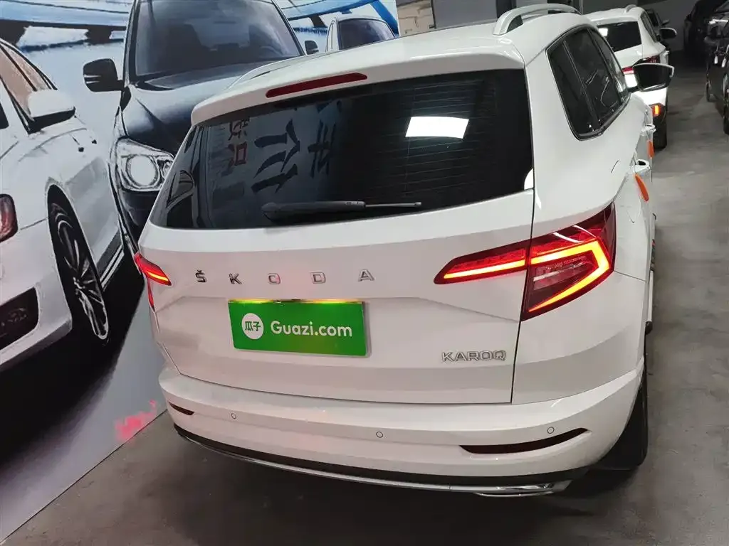 Skoda Karoq 2022 из CN, фото 4