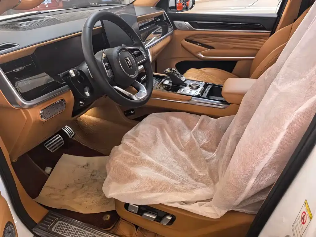 Tank 500 New Energy 2023 из CN, фото 10