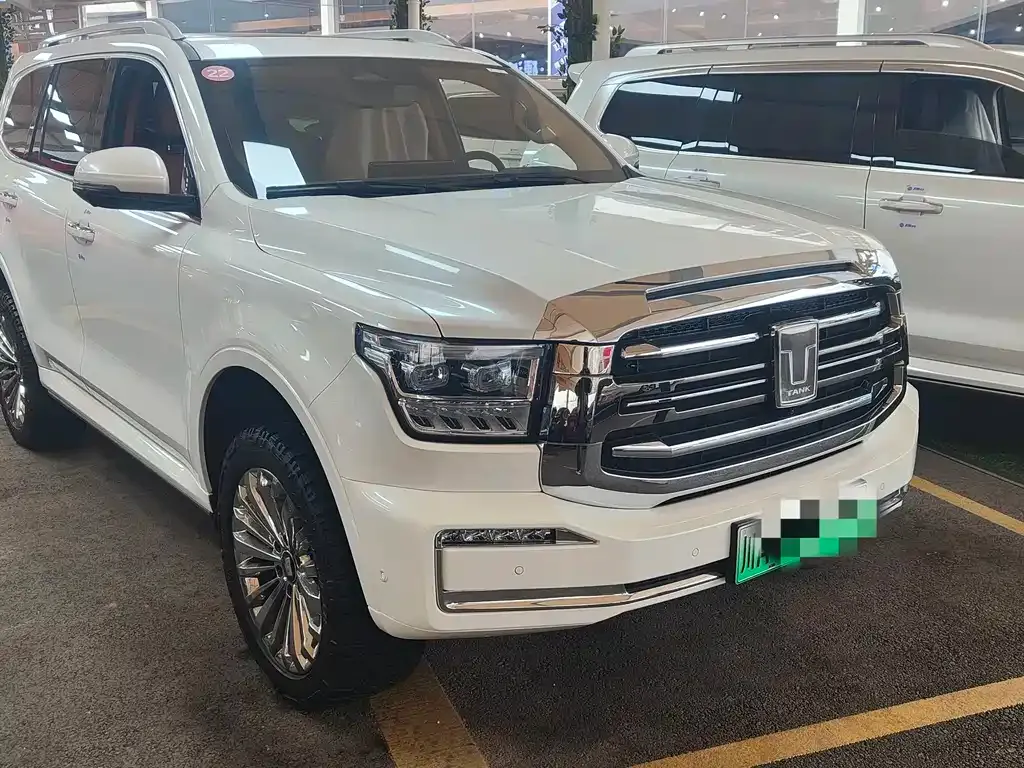 Tank 500 New Energy 2023 из CN, фото 5