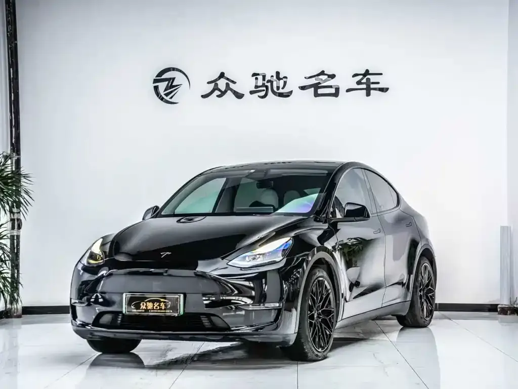 Tesla Model Y — фото 1