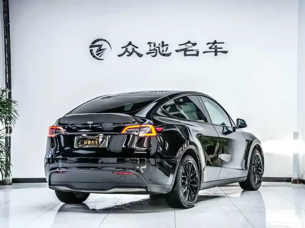 Tesla Model Y — фото 2