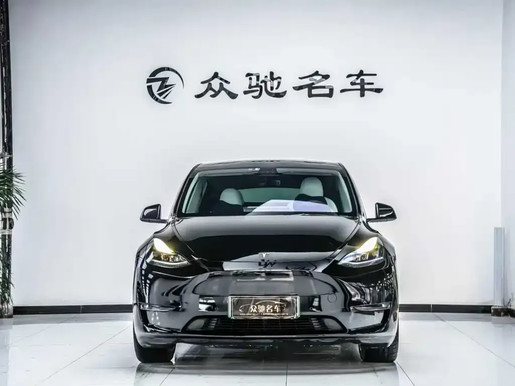 Tesla Model Y — фото 3