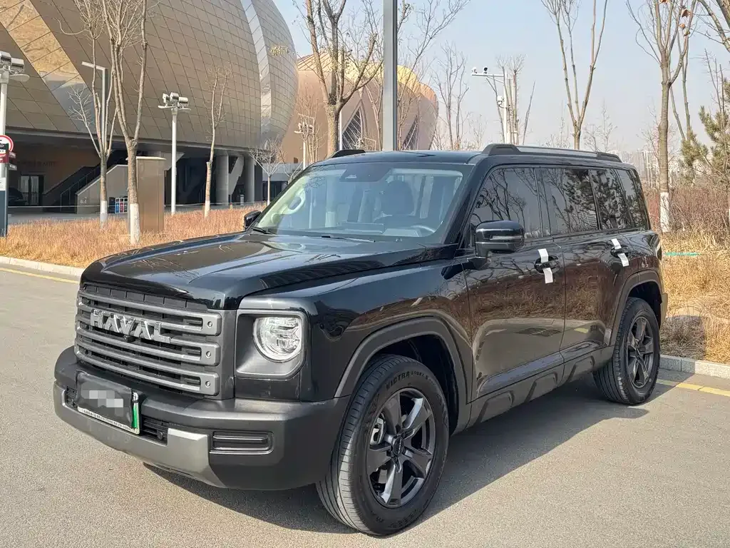 Haval Menglong New Energy 2023 из CN, фото 1