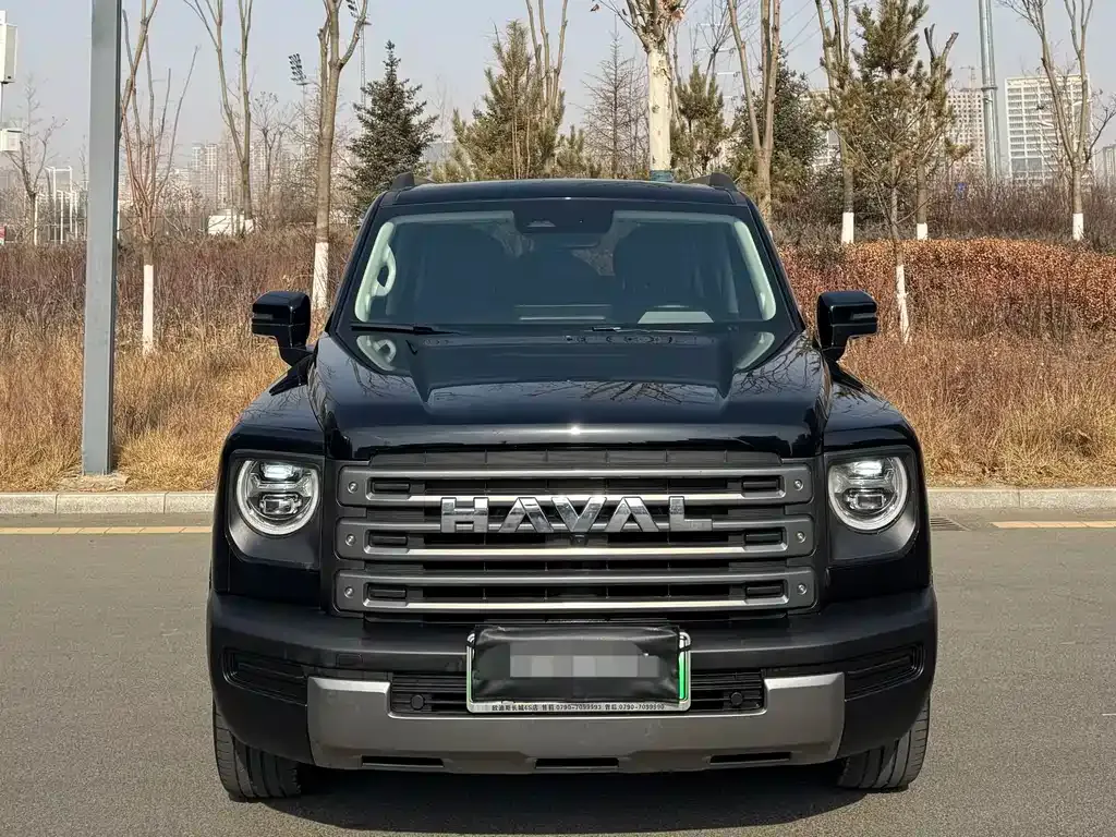 Haval Menglong New Energy 2023 из CN, фото 5