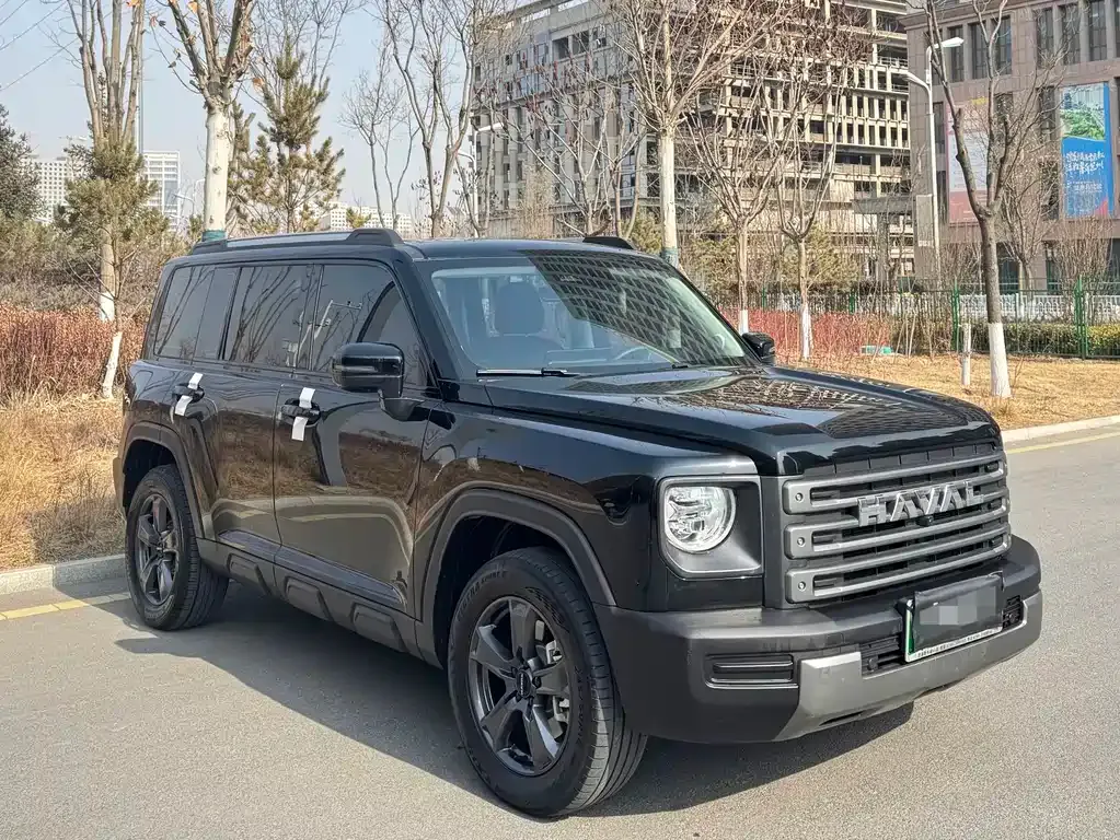 Haval Menglong New Energy 2023 из CN, фото 8