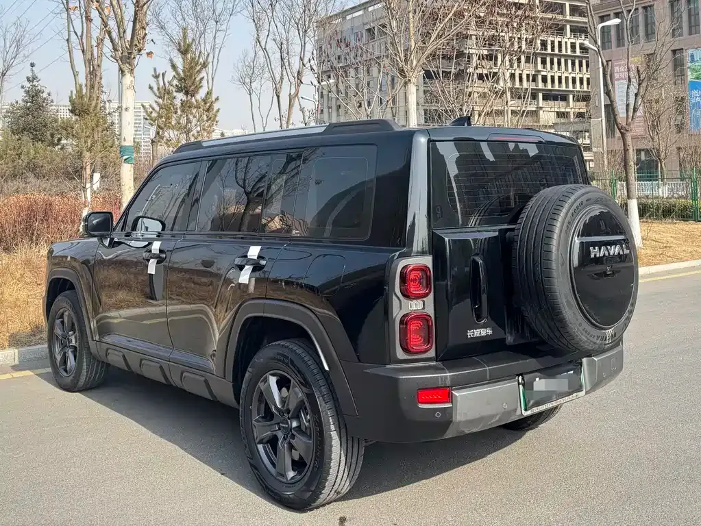 Haval Menglong New Energy 2023 из CN, фото 9