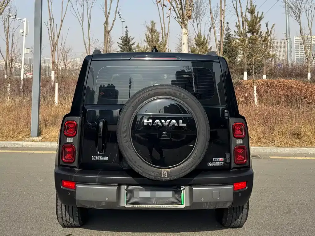 Haval Menglong New Energy 2023 из CN, фото 4
