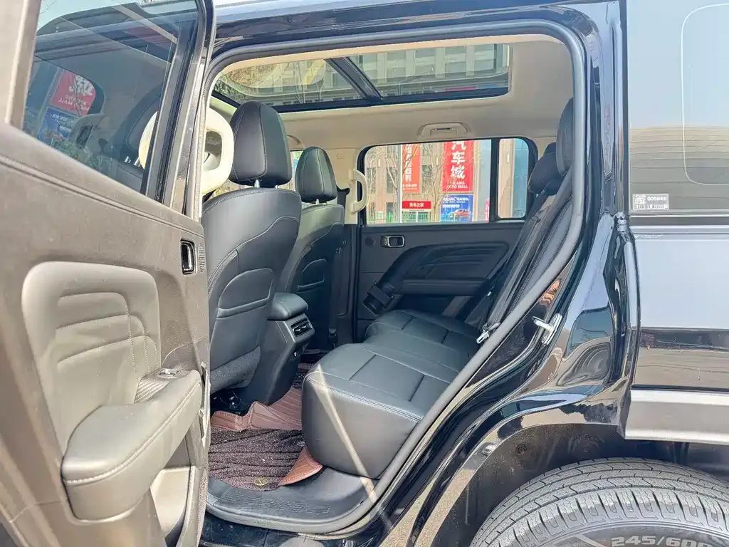 Haval Menglong New Energy 2023 из CN, фото 2