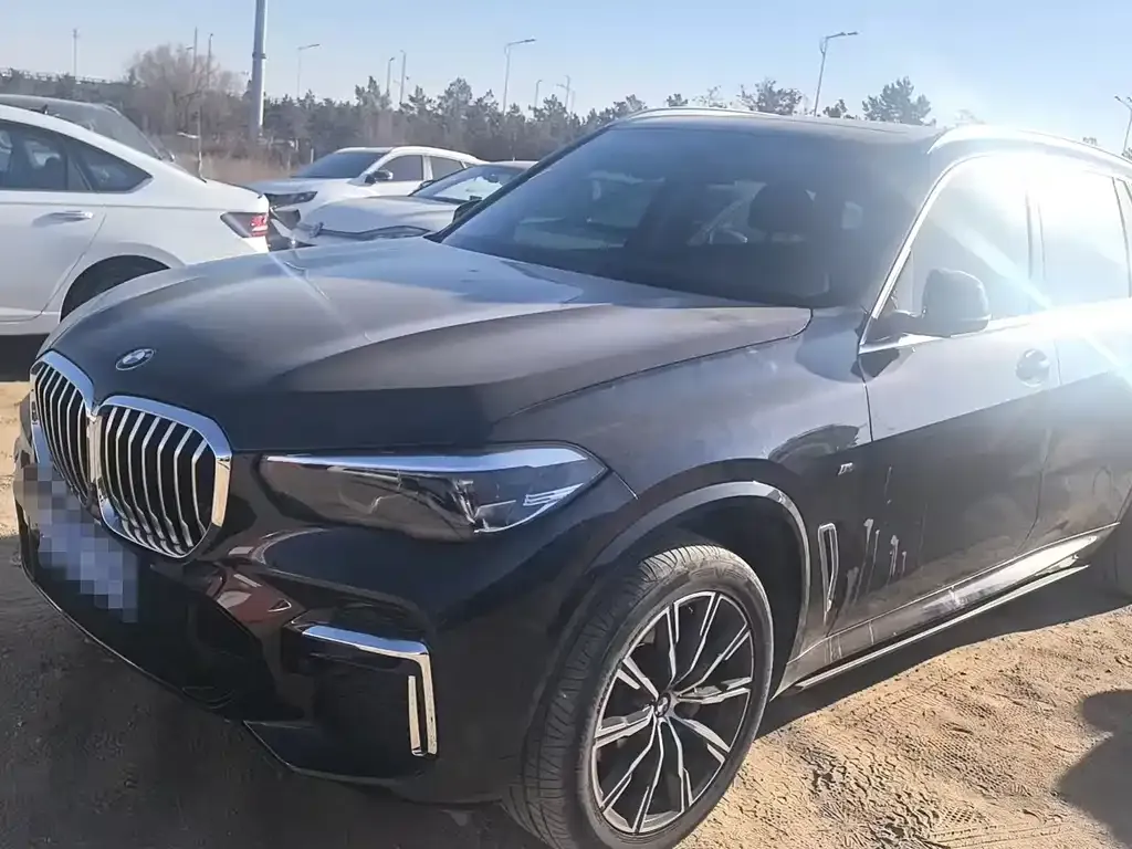 BMW X5 2022 из CN, фото 1