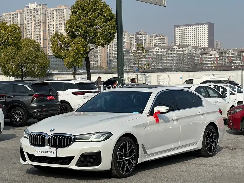 BMW 5 Series 2021 из CN, фото 1