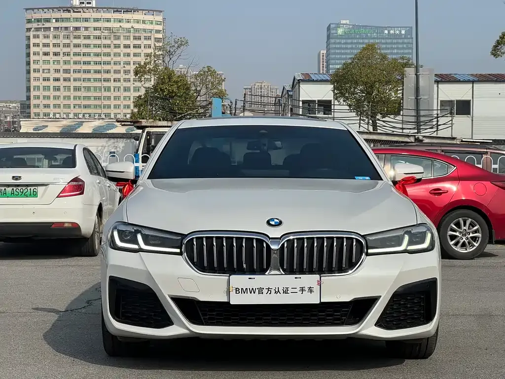 BMW 5 Series 2021 из CN, фото 9