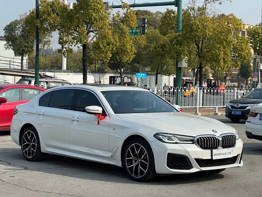 BMW 5 Series 2021 из CN, фото 10