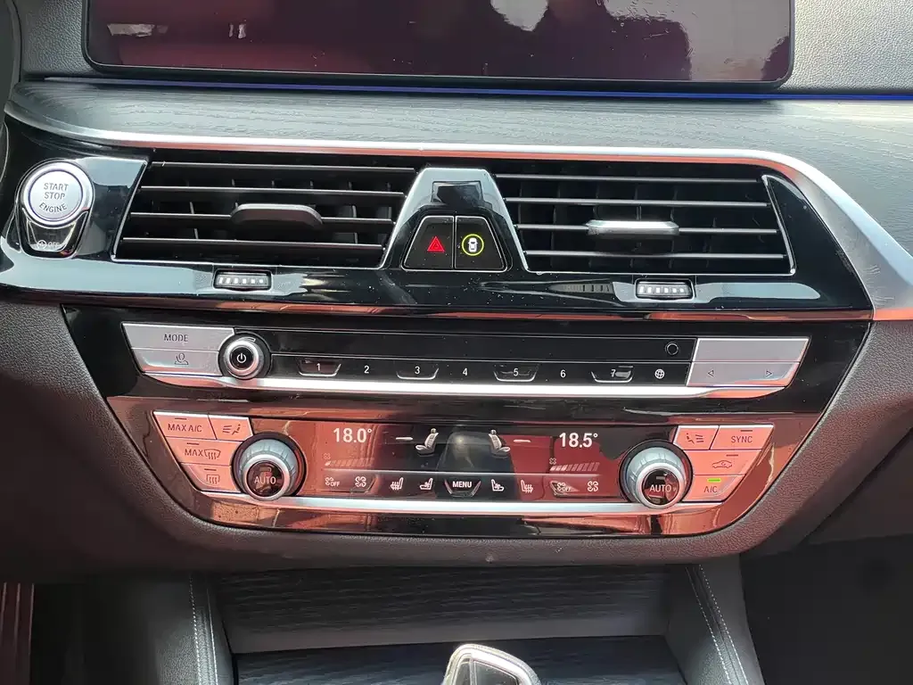 BMW 5 Series 2021 из CN, фото 6