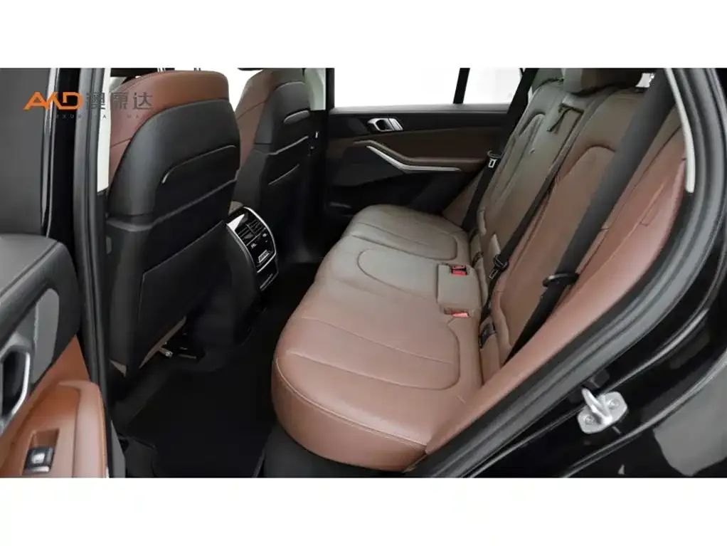 BMW X5 (Import) 2021 из CN, фото 10