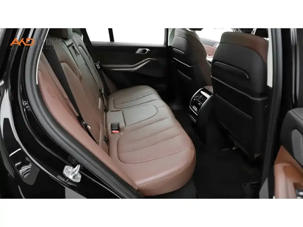 BMW X5 (Import) 2021 из CN, фото 6