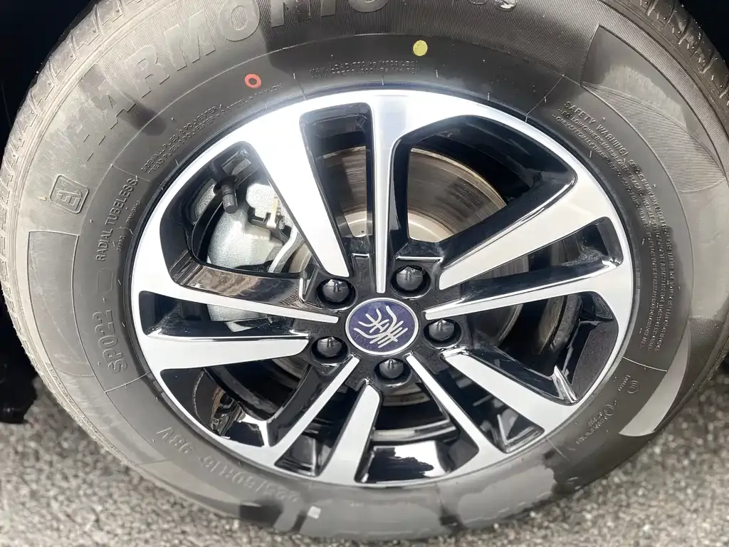 BYD Qin PLUS 2025 из CN, фото 2