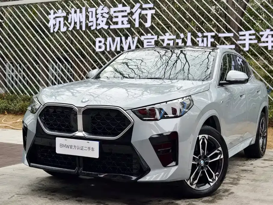 BMW X2 (Import) 2025 из CN, фото 1