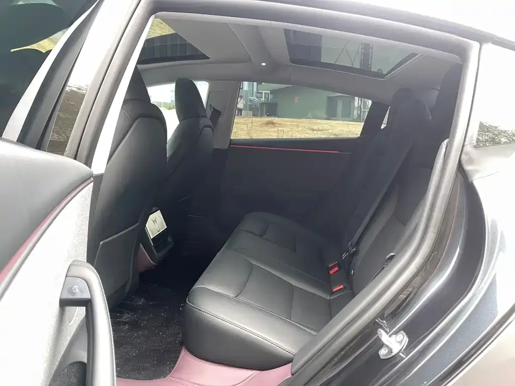Tesla Model 3 2025 из CN, фото 3