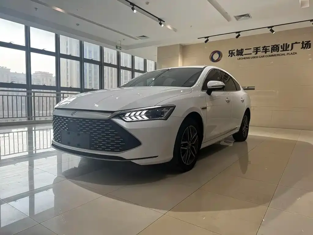 BYD Qin PLUS — фото 1
