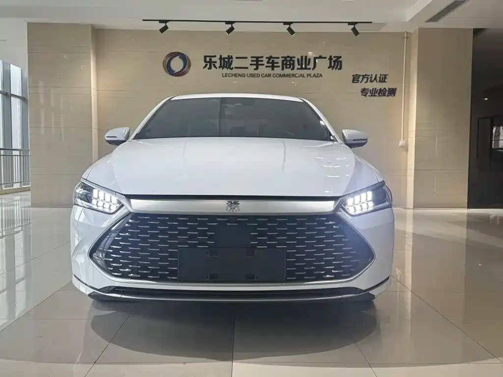 BYD Qin PLUS — фото 4