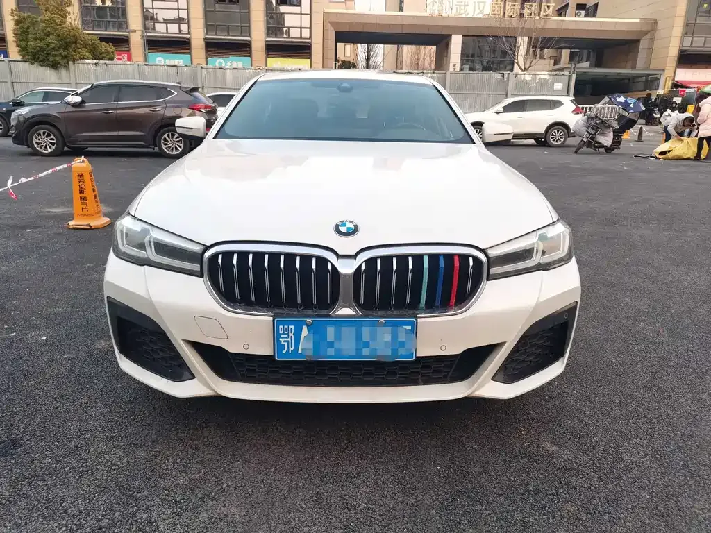 BMW 5 Series 2023 из CN, фото 9
