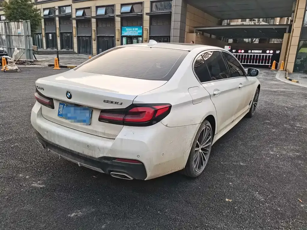 BMW 5 Series 2023 из CN, фото 10