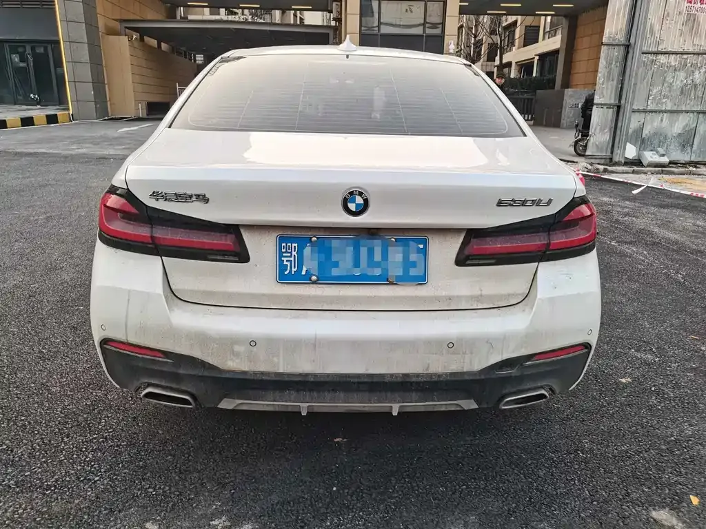 BMW 5 Series 2023 из CN, фото 7