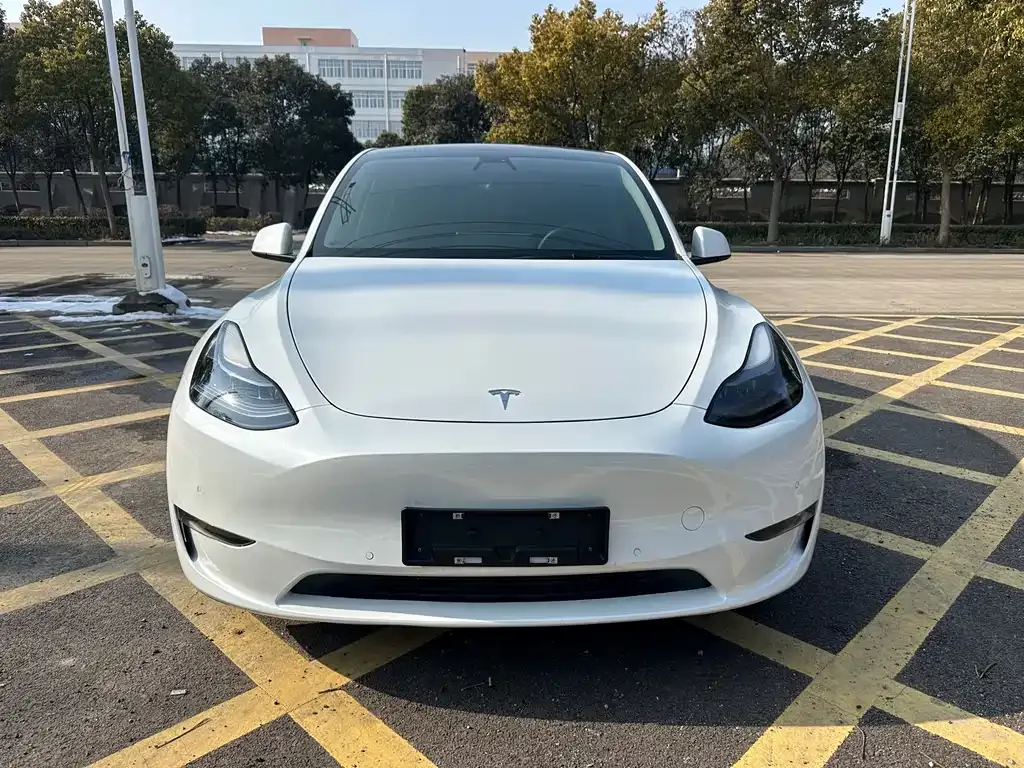 Tesla Model Y 2021 из CN, фото 1