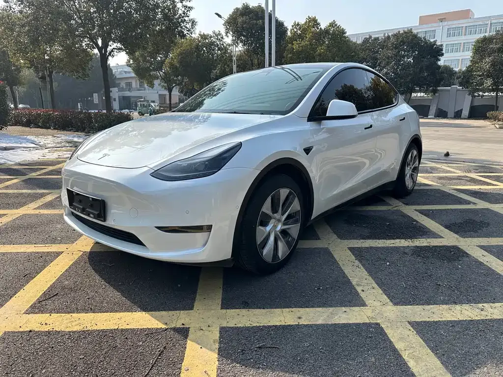 Tesla Model Y 2021 из CN, фото 9