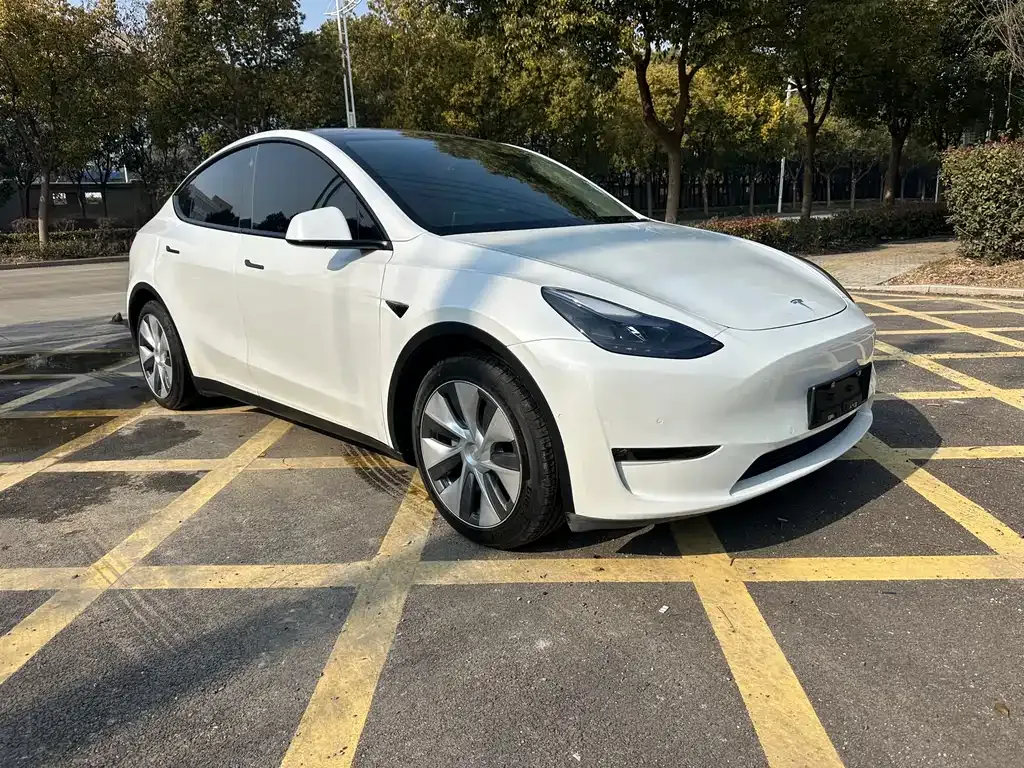 Tesla Model Y 2021 из CN, фото 7
