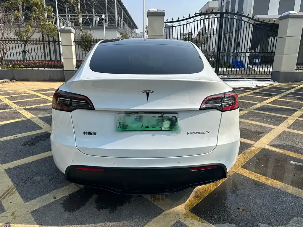 Tesla Model Y 2021 из CN, фото 5
