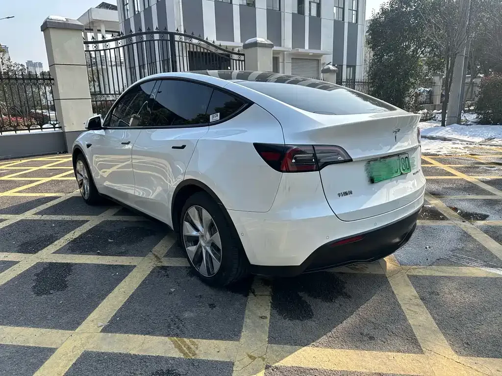 Tesla Model Y 2021 из CN, фото 8