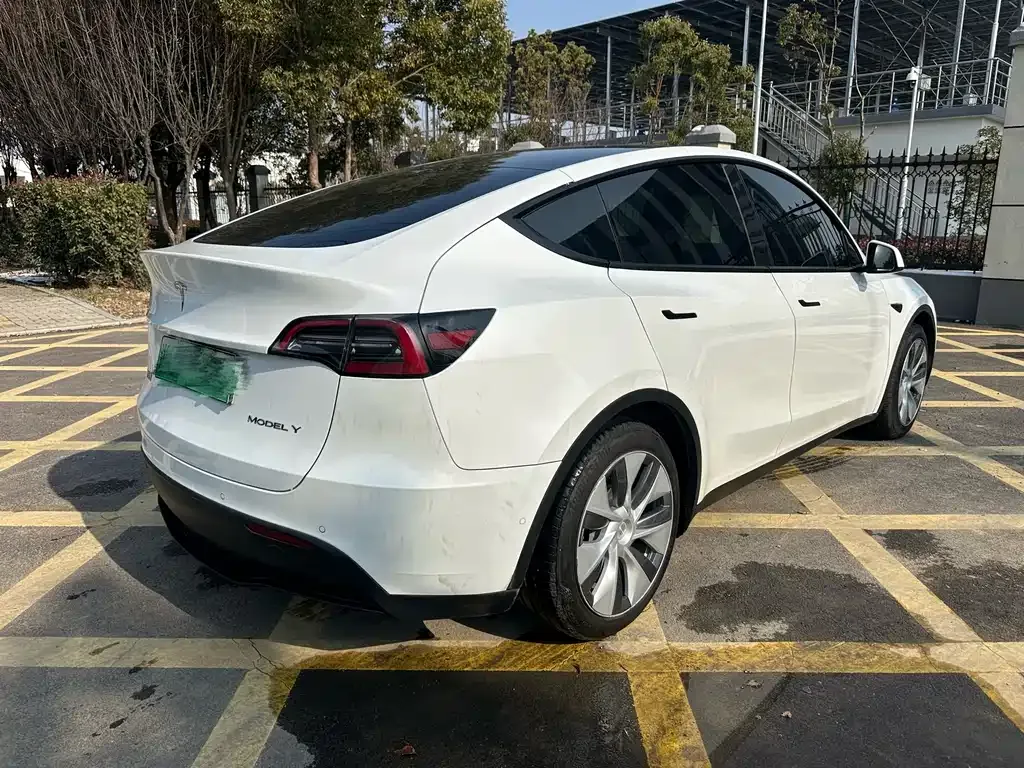Tesla Model Y 2021 из CN, фото 6