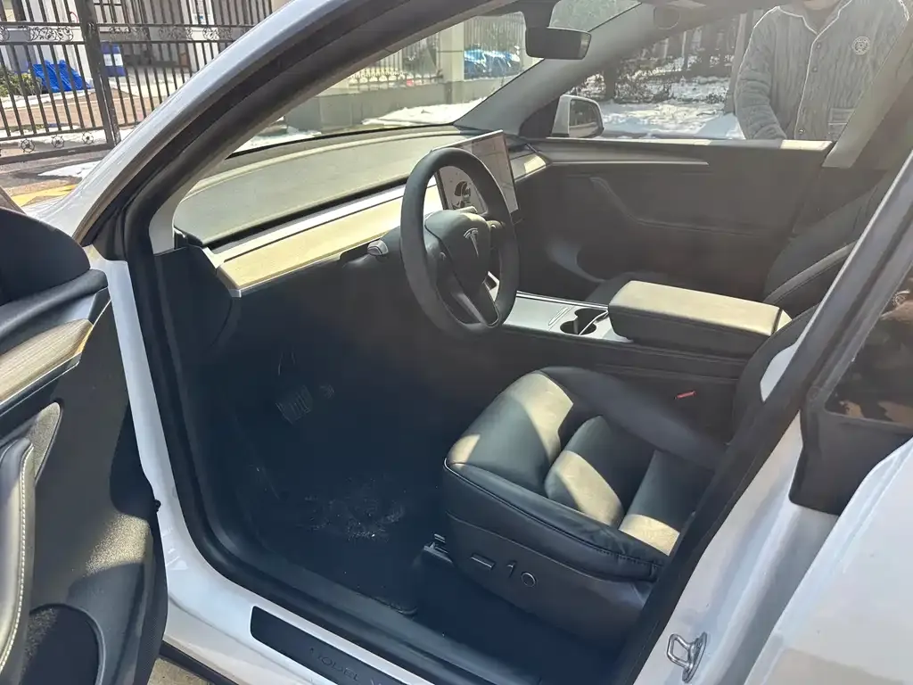 Tesla Model Y 2021 из CN, фото 4