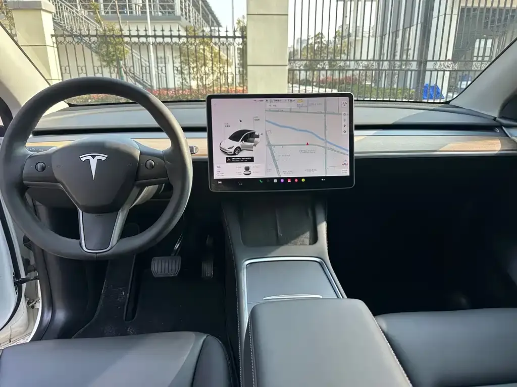 Tesla Model Y 2021 из CN, фото 3
