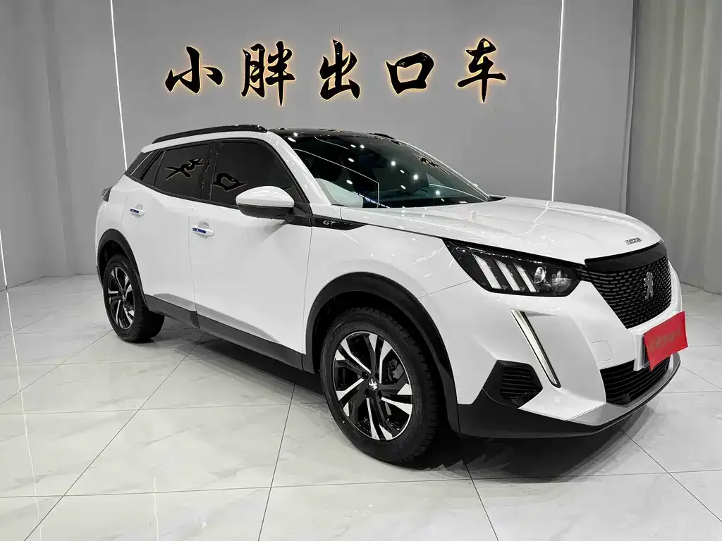 Peugeot 2008 2023 из CN, фото 4