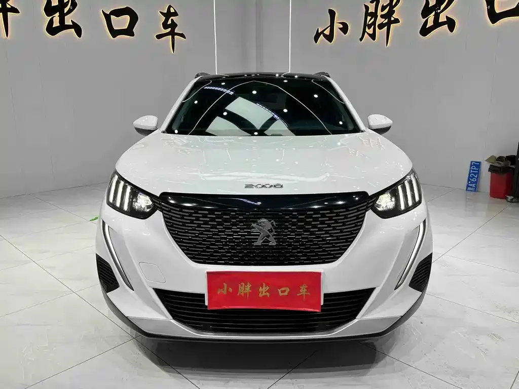 Peugeot 2008 2023 из CN, фото 2